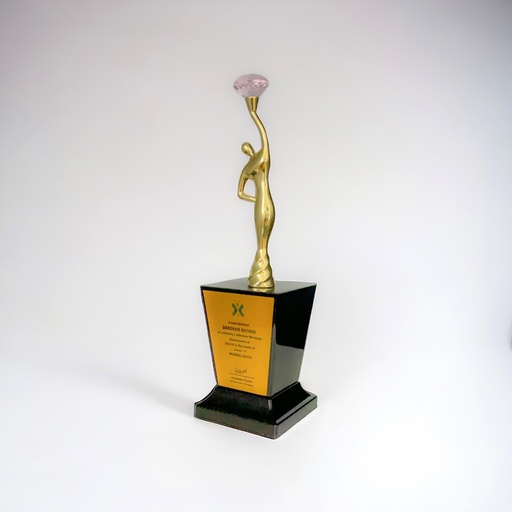 Wood & Metal Trophy WM 9103